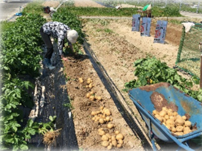 グループホーム福間